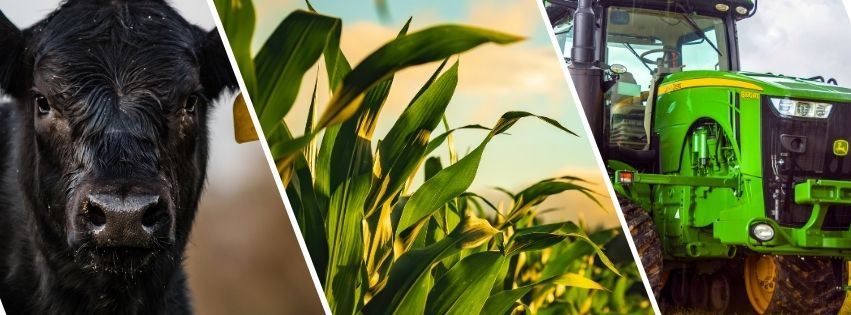 Ag Corn Cattle Tractor