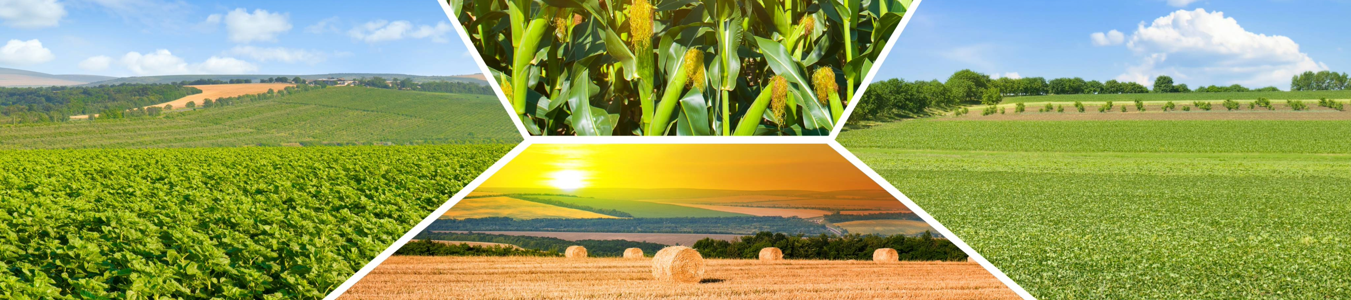 Ag, Farm, Crops, SPring